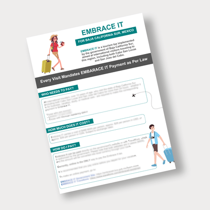 Embrace IT Carousel & Quick Facts| Canva Template